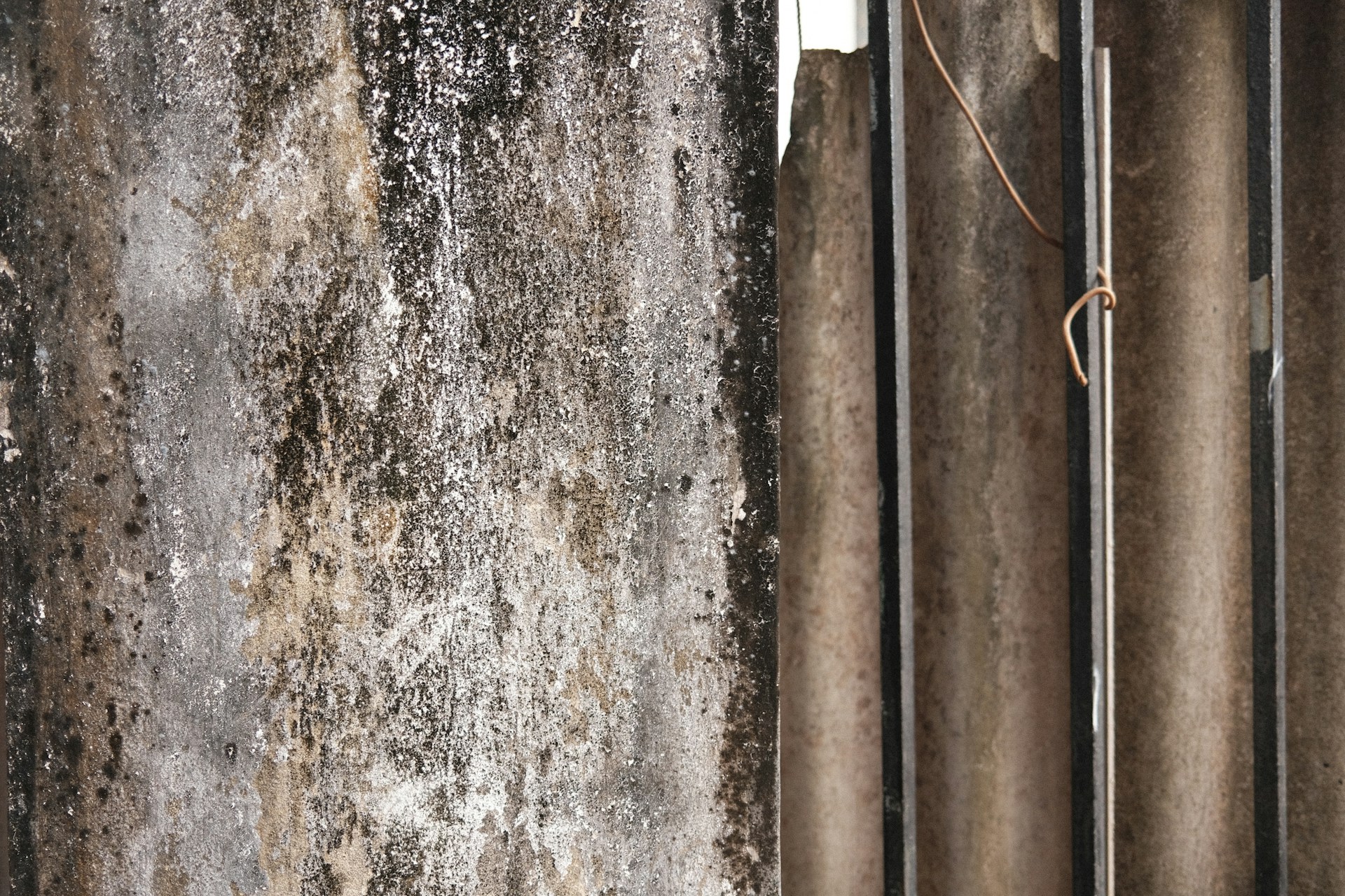 Surveyor conducting an asbestos survey inside a commercial building